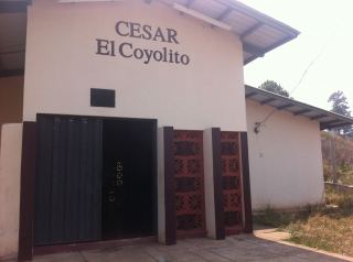Coyolito 3.JPG