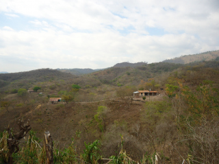 DSC03745.JPG