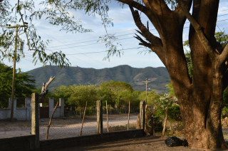 El Coyol De Linaca.jpg