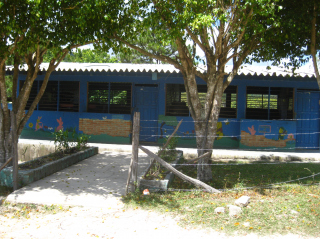 IMG 1199.JPG