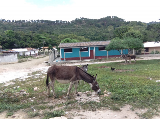 IMG 3535.jpg