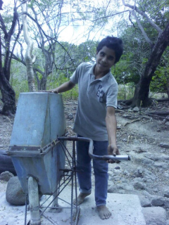 Junquillo Boy.jpg