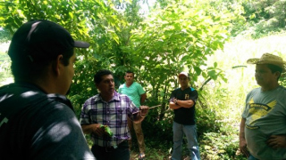 Los Huatales 1.jpg