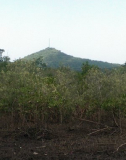 Los Huatales 2.jpg