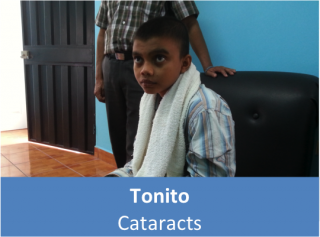 Tonito Website 2.png