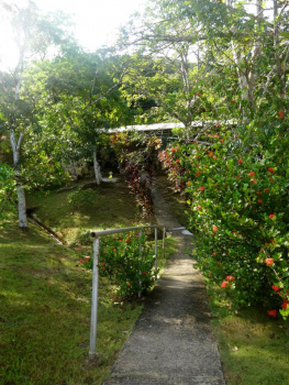 Penonome10.jpg