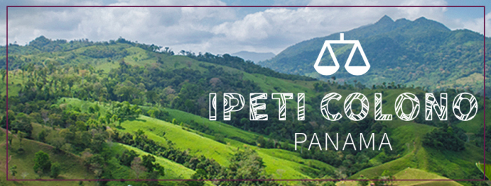 Ipeti Colono HR Banner.jpg