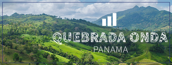 2015 Quebrada Onda Business.jpg