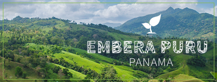 Embera Puru Enviro Banner.jpg