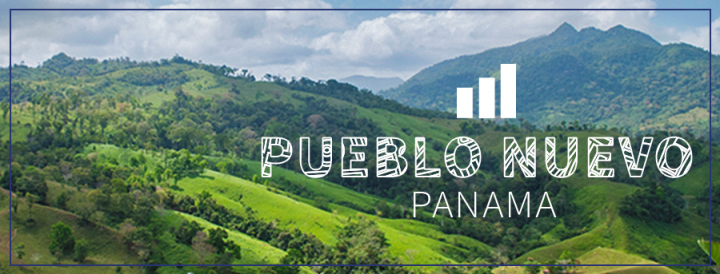 Pueblo Nuevo Business Banner.jpg