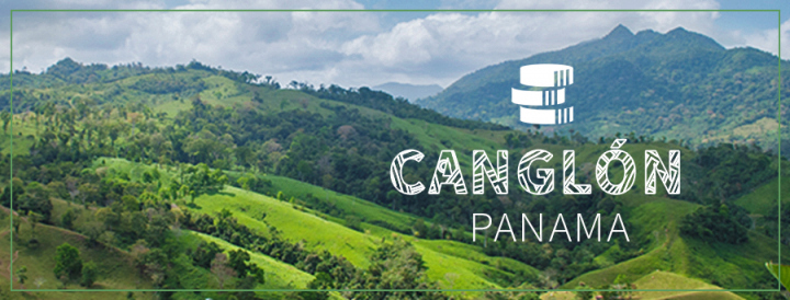 Canglon MF Banner.jpg