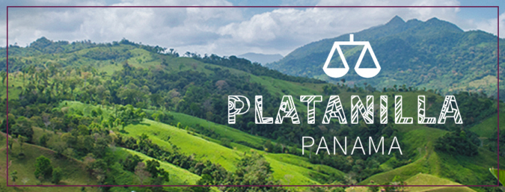 Platanilla HR Banner.jpg