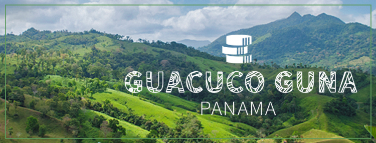 Guacuco Guna MF Banner.jpg