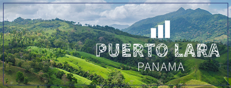 Puerto Lara Business Banner.jpg