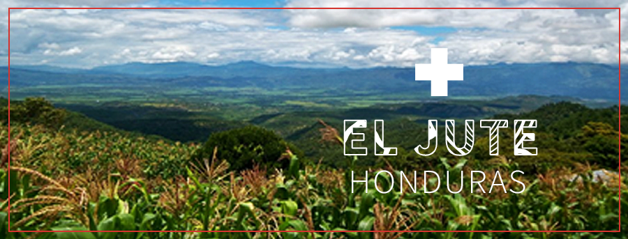 Honduras Medical El Jute 2015.png
