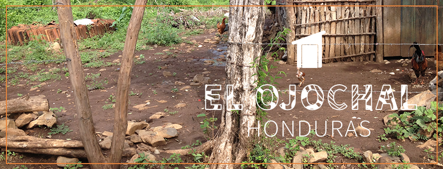 Honduras Public Health El Ojochal 2015.png