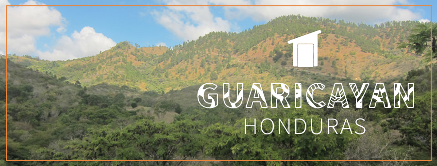 Honduras Public Health Guaricayan 2015.png